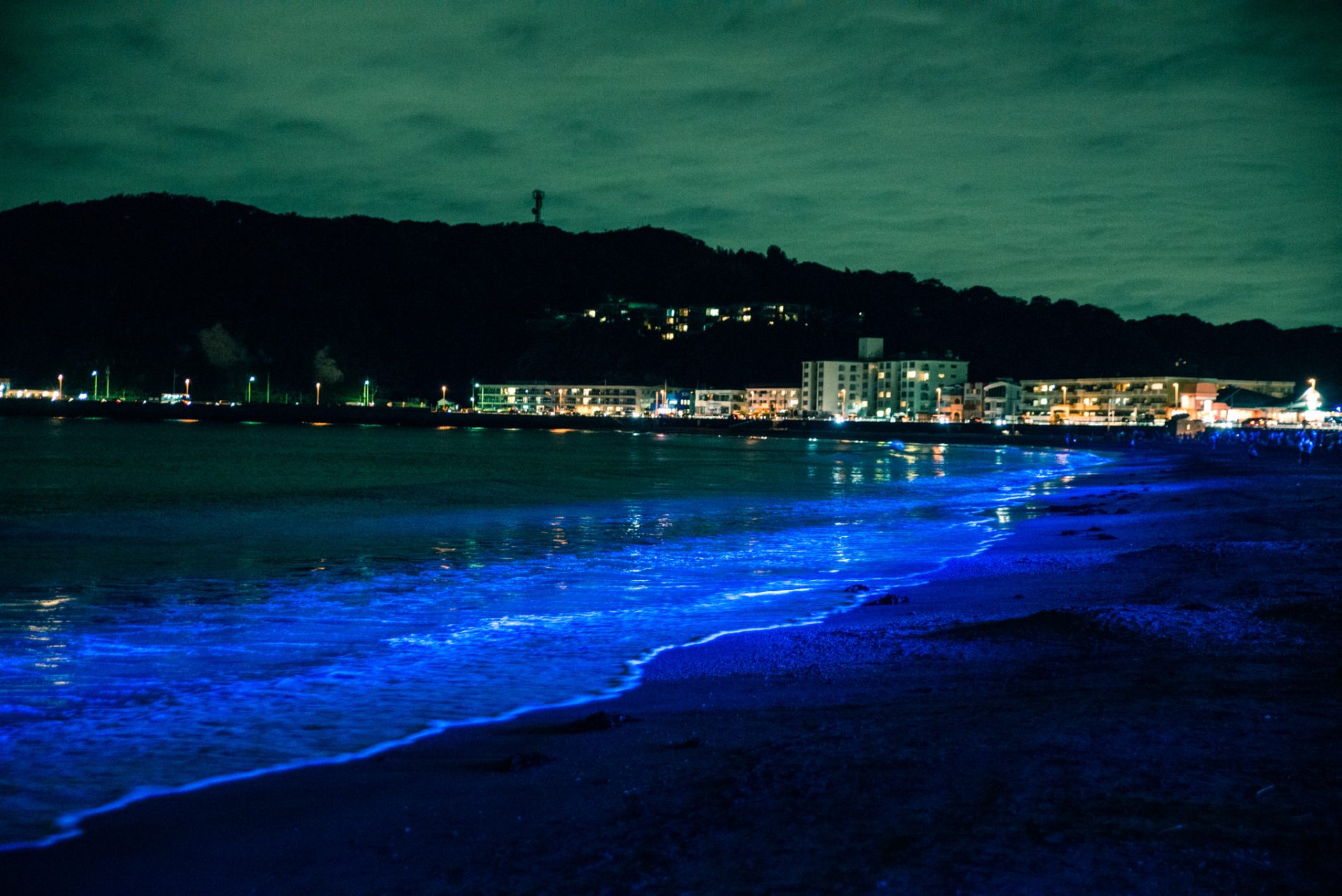 逗子海岸のライトアップ 6