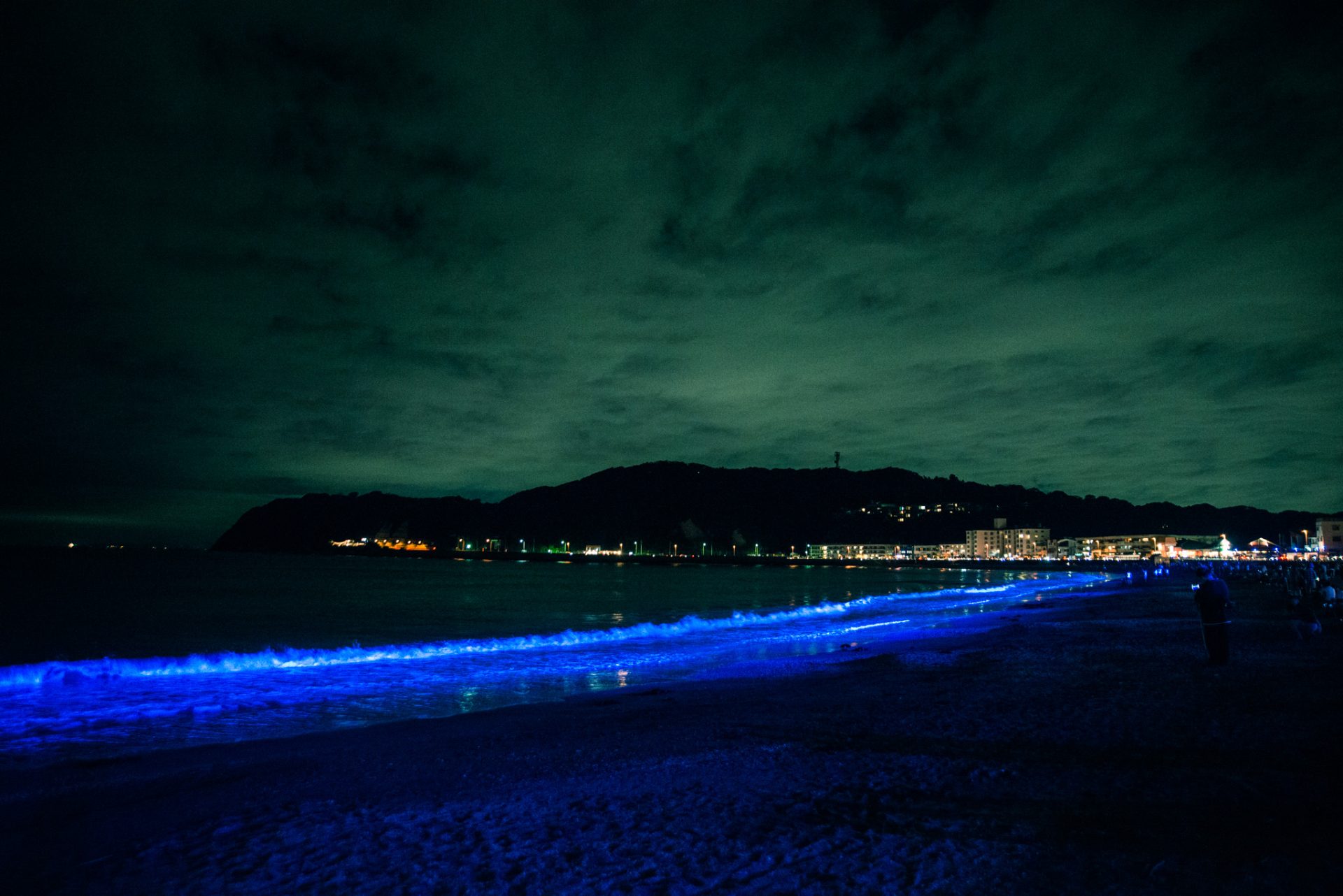 逗子海岸のライトアップ 4