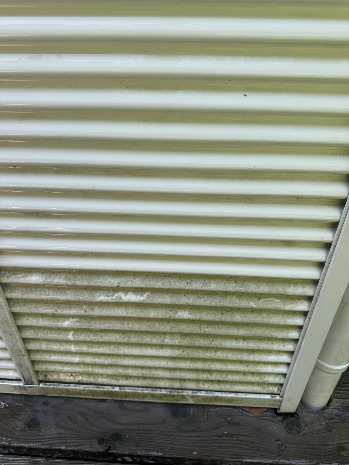 掃除後の雨戸