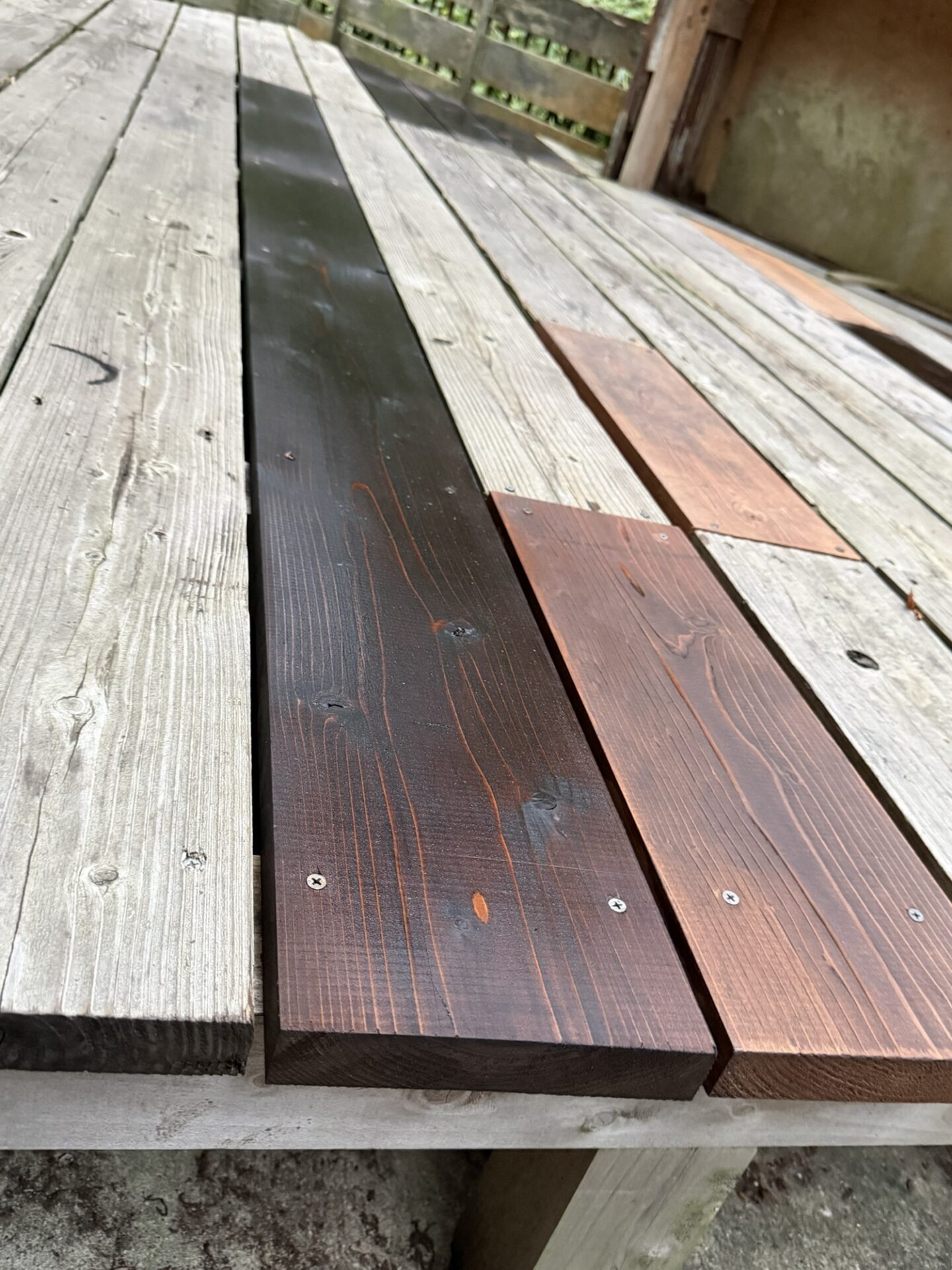 塗装直後の様子